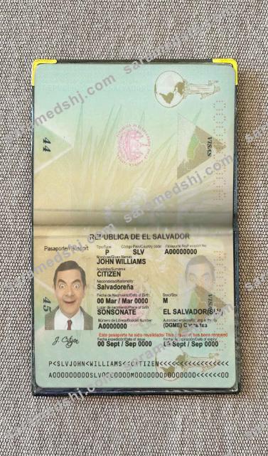 Salvador passport photo look